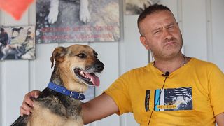 مؤسس مركز "باتيليكوي" لإيواء الحيوانات في أنقرة فولكان كوتش في صورة مع كلب