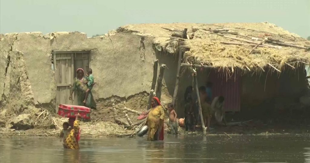 ラニーニャは遅れていますか？新しい予測によると、今年はこの現象がますます遠ざかっていく