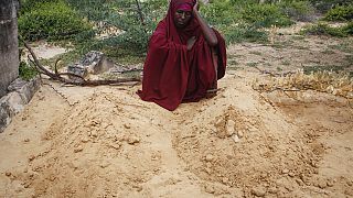ONU : la Somalie a besoin d'un milliard de dollars contre la famine