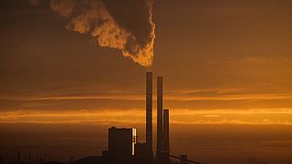 Temiz Hava hakkı Platformu: Hava kirliliği aşırı sıcaklarla birleşince ölüm riski artıyor