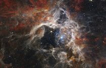 Últimas imagens da Nebulosa da Tarântula, captadas pelo telescópio James Web da NASA