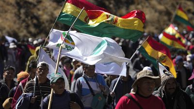 Manifestantes de Adepcoca marchan en contra del mercado de venta de hoja de coca en La Paz