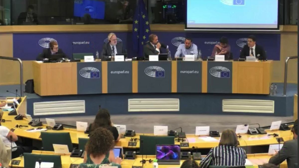 Una imagen de la audiencia celebrada en el Parlamento Europeo