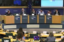 Una imagen de la audiencia celebrada en el Parlamento Europeo