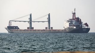 The Fulmar S vessel carrier with 12000 ton of corn makes its way from the port in Odessa.