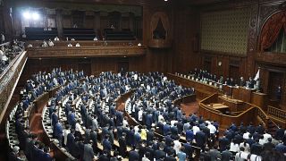 نمایی از پارلمان ژاپن
