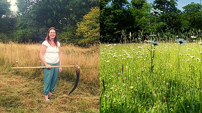 Scything could be a cut above when it comes to improving biodiversity and wellbeing.