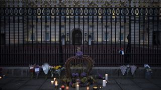 Цветы у Букингемского дворца