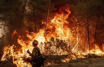 В этом году Калифрония страдает от аномальной жары и засухи, что привело к увеличению числа лесных пожаров.