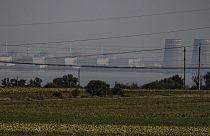 Zaporijya Nükleer Santrali