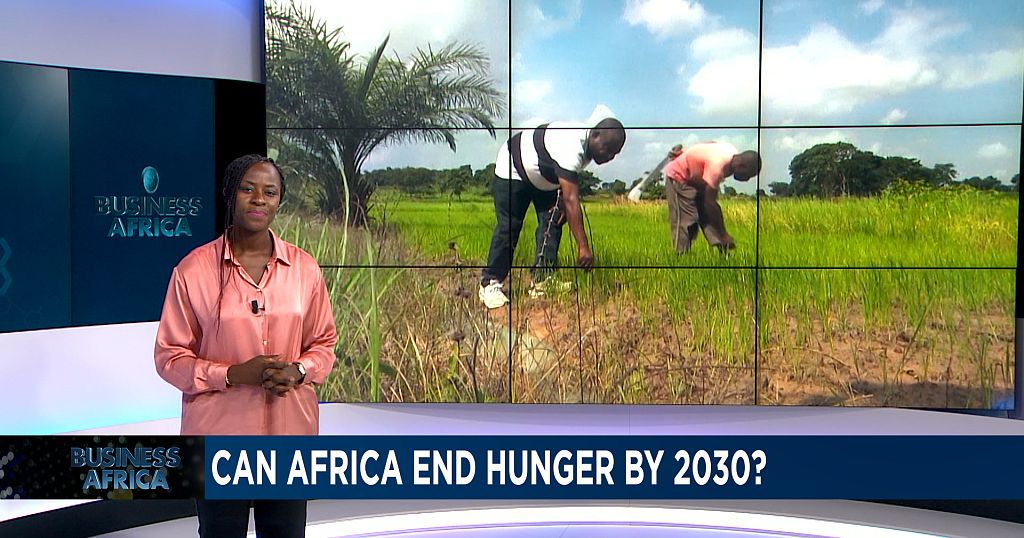 Africa to win fight against hunger by 2030? [Business Africa]