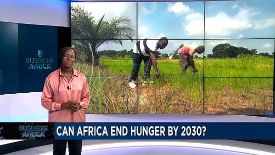 Africa to win fight against hunger by 2030? [Business Africa]