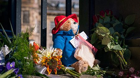 Stop leaving Paddington Bears, Queen's mourners have been told to respect sustainability.