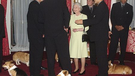 The Queen meets New Zealand's All Blacks rugby team accompanied by her pet corgis