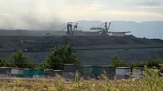 Wooden beehives are kept on a patch of reclaimed land at a lignite mine near the northern Greek city of Kozani, as excavating equipment is seen in the background.