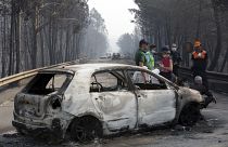 More than 40 people were killed on the so-called "road of death" N236.