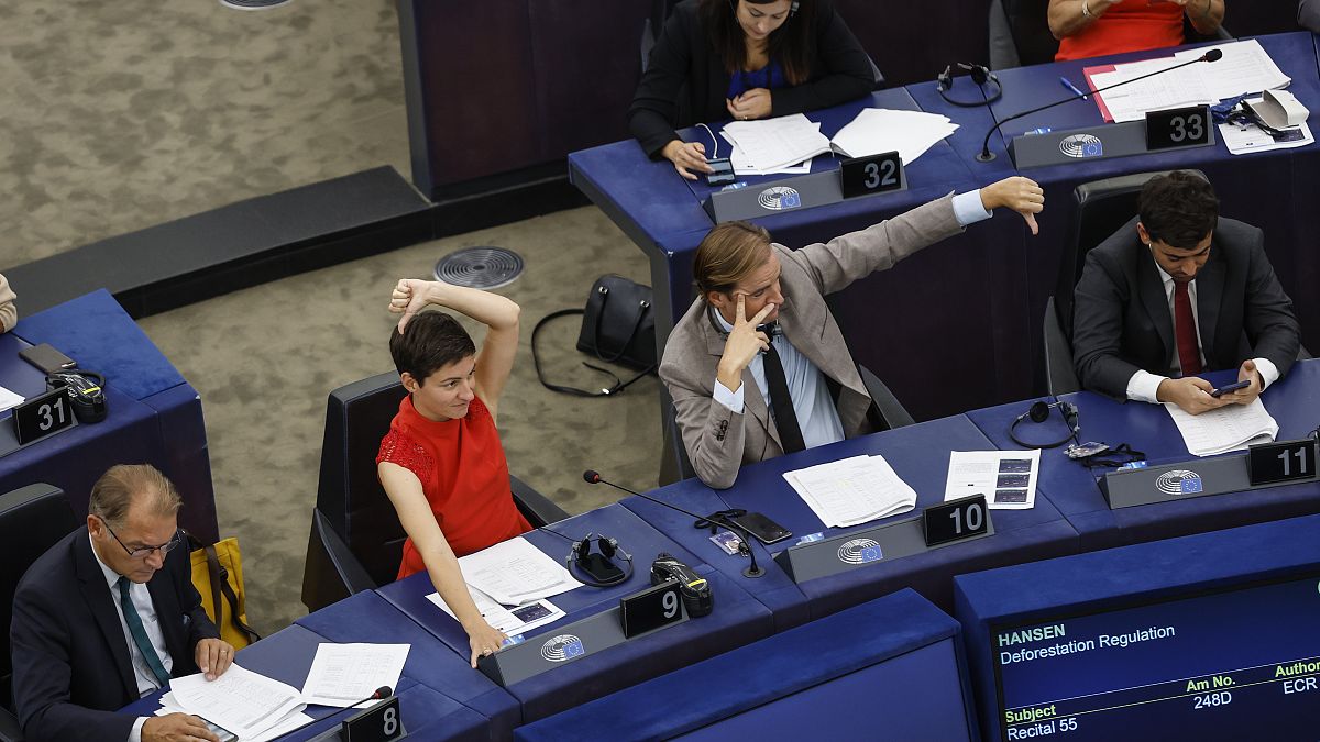 A votação decorrerá no plenário do PE em Estrasburgo, França