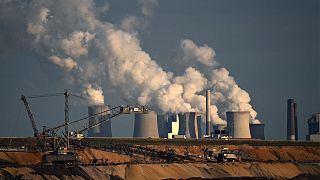 The World Health Organization has joined a global call for a ‘non-proliferation treaty’ targeting fossil fuels to protect human health.