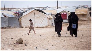 مخيم الهول في مدينة الحسكة السورية الذي يضم عائلات الجهاديين - أرشيف
