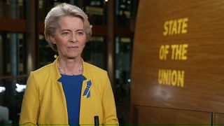 European Commission President Ursula von der Leyen speaks to Euronews at the European Parliament in Strasbourg, eastern France, Sept. 14, 2022.