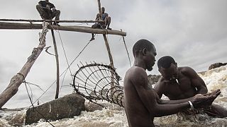DRC fishermen turn to tourism as stocks decline 