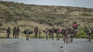 Ethiopie : malgré l'accord de paix, peur, pillages et pénuries au Tigré