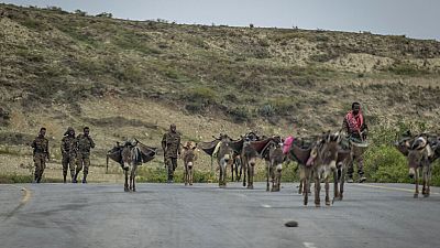 Ethiopie : l'Union Européenne s'inquiète du "très fragile espoir de paix"