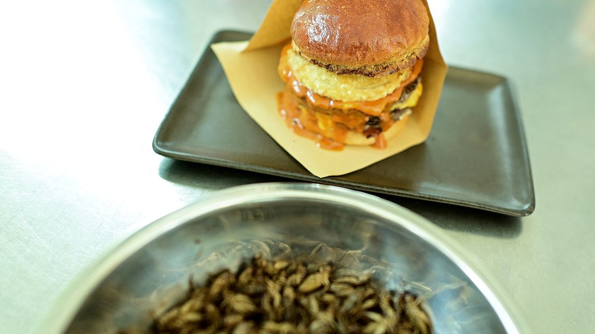 A plate of "Cricket-burger" and crickets at a restaurant in Bangkok 