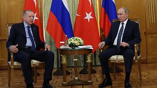 الرئيس الروسي فلاديمير بوتين يجتمع مع نظيره التركي رجب طيب أردوغان.