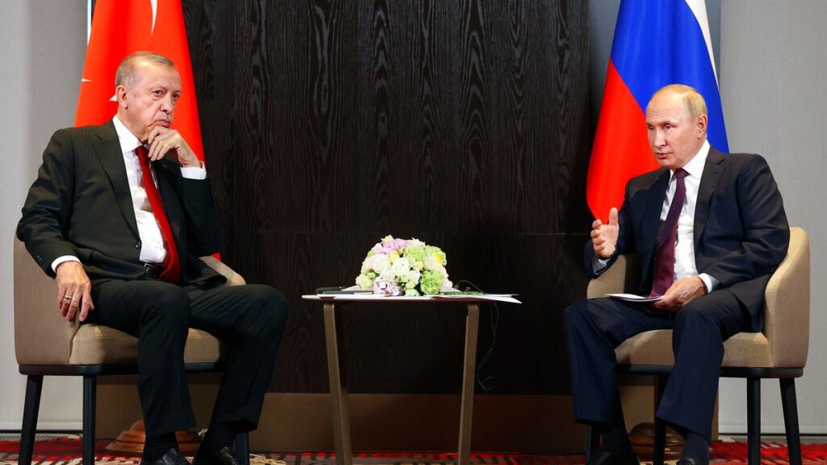 Cumhurbaşkanı Recep Tayyip Erdoğan ile Rusya Devlet Başkanı Vladimir Putin (arşiv)