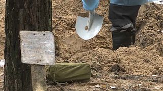 أخصائيو الطب الشرعي الأوكراني يوثقون الجثث من موقع دفن في مدينة إيزيوم الشرقية - أوكرانيا. 2022/09/16