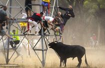 Men escape a bull during the 'Toro de la Vega' bull festival in Tordesillas, near Valladolid, Spain. September 13, 2022