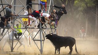 Men escape a bull during the 'Toro de la Vega' bull festival in Tordesillas, near Valladolid, Spain. September 13, 2022
