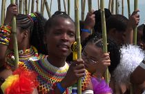شعب الزولو في جنوب إفريقيا يحتفل بمهرجان رقص القصب.