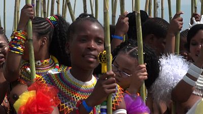 شعب الزولو في جنوب إفريقيا يحتفل بمهرجان رقص القصب. 