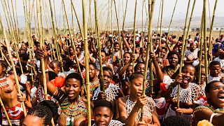 South Africa: Joy as Zulu reed dance festival returns 