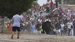 Festividade do "Toro de la Vega", em Tordesilhas