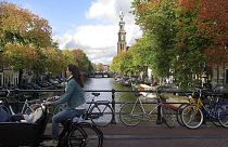 Bisiklet ülkesi Hollanda, dünyaya örnek ulaşım sistemini nasıl geliştirdi?
