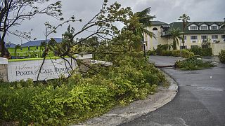 Упавшие деревья над входом в курортный комплекс Ports of Call после урагана Фиона в Провиденсиалесе, острова Теркс и Кайкос / 20 сентября 2022 
