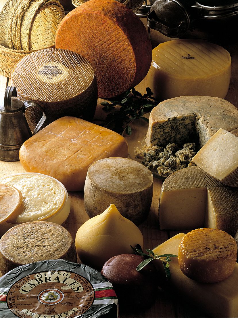 Why Spain deserves the title the ‘land of 200 cheeses’ and where to go