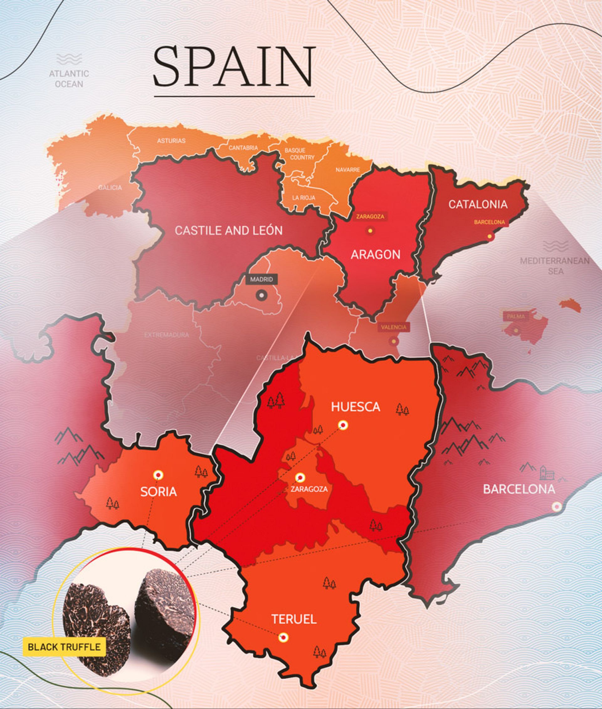 ‘Black gold’ Why Spain’s black truffles are so popular Euronews