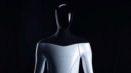 Musk said at a TED talk robots could be used in homes, making dinner, mowing the lawn and even becoming a "buddy" or a "catgirl" sex partner.