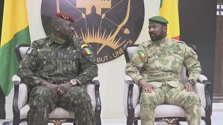 Guinea's military ruler in Mali on eve of ECOWAS extraordinary summit