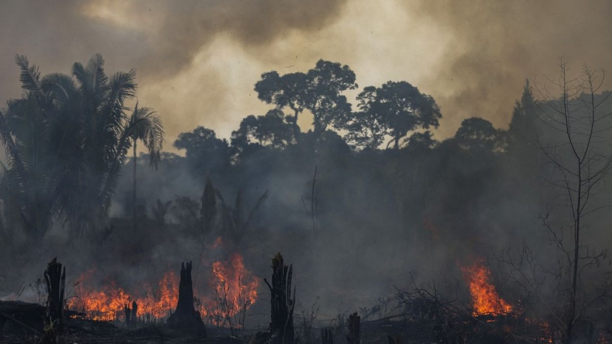 Incêndio na Amazónia (arquivo)
