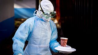 Marburg virus kills 20 in Equatorial Guinea - WHO 