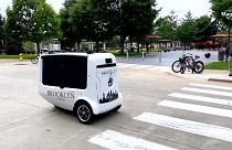Global mobility technology company Magna has developed an electric autonomous pizza delivery robot, aiming to reduce last mile delivery costs and carbon emissions in cities.