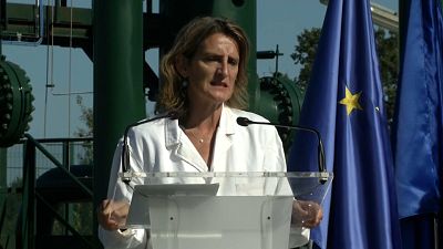 Teresa Ribera, vicepresidenta tercera del Gobierno y ministra para la Transición Ecológica y el Reto Demográfico de España