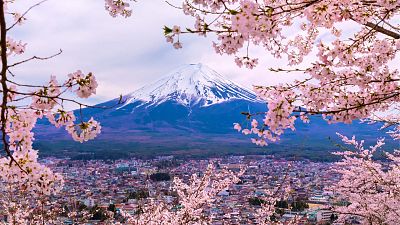 Japan has allowed a small number of visitors since June, but only as part of  strictly managed tour groups.  From 11 October, these requirements will be dropped