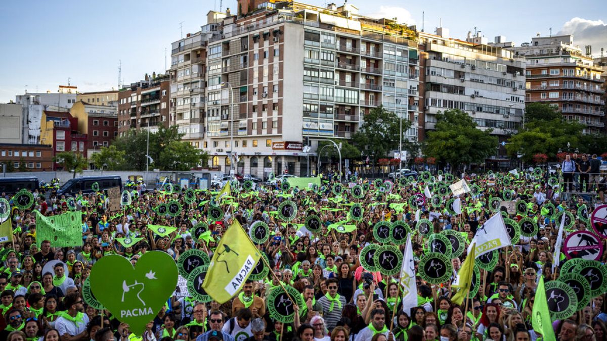 Tausende Demonstranten protestieren in Madrid gegen Stierkampf