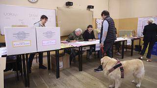 Более 50 миллионов итальянских избирателей могут проголосовать на досрочных всеобщих выборах.